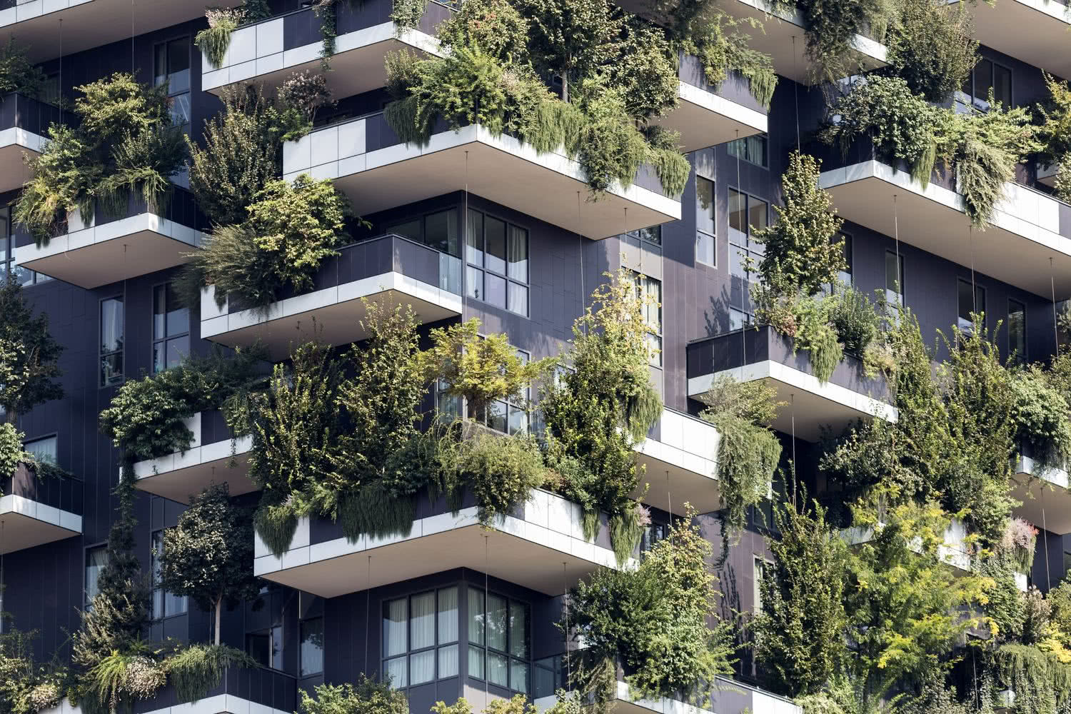 Balkony zaprojektowane w zgodzie z biophilic design Balkony zaprojektowane w zgodzie z biophilic design